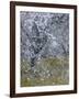 Almond Blossom II-Doug Chinnery-Framed Photographic Print