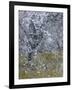 Almond Blossom II-Doug Chinnery-Framed Photographic Print