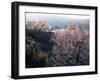 Almond Blossom in Spring, Costa Blanca, Valencia Region, Spain-Tony Waltham-Framed Photographic Print