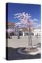 Almond Blossom in the Market Place, Landau, Deutsche Weinstrasse (German Wine Road)-Markus Lange-Stretched Canvas