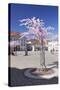 Almond Blossom in the Market Place, Landau, Deutsche Weinstrasse (German Wine Road)-Markus Lange-Stretched Canvas