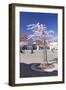 Almond Blossom in the Market Place, Landau, Deutsche Weinstrasse (German Wine Road)-Markus Lange-Framed Photographic Print