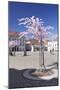 Almond Blossom in the Market Place, Landau, Deutsche Weinstrasse (German Wine Road)-Markus Lange-Mounted Photographic Print