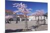 Almond Blossom in the Market Place, Landau, Deutsche Weinstrasse (German Wine Road)-Markus Lange-Mounted Photographic Print