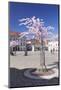 Almond Blossom in the Market Place, Landau, Deutsche Weinstrasse (German Wine Road)-Markus Lange-Mounted Photographic Print