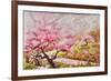 Almond Blossom In The Mountains-Mary Smith-Framed Giclee Print