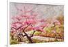 Almond Blossom In The Mountains-Mary Smith-Framed Giclee Print