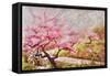 Almond Blossom In The Mountains-Mary Smith-Framed Stretched Canvas