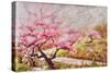 Almond Blossom In The Mountains-Mary Smith-Stretched Canvas