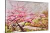 Almond Blossom In The Mountains-Mary Smith-Stretched Canvas