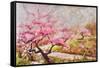 Almond Blossom In The Mountains-Mary Smith-Framed Stretched Canvas