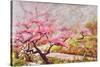 Almond Blossom In The Mountains-Mary Smith-Stretched Canvas