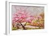 Almond Blossom In The Mountains-Mary Smith-Framed Giclee Print