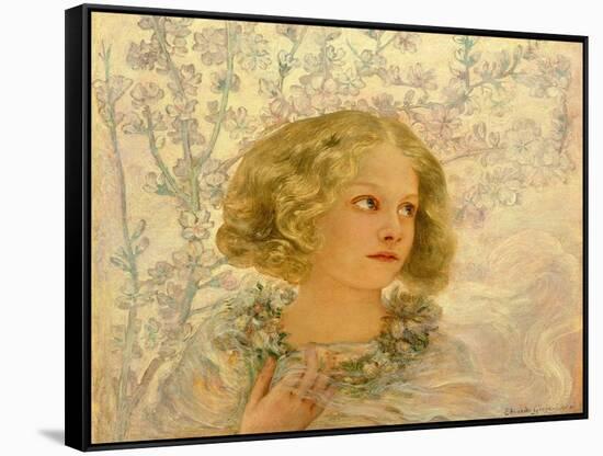 Almond Blossom (Oil on Board)-Edoardo Gioja-Framed Stretched Canvas