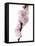 Almond Blossom on a Branch-Kai Stiepel-Framed Stretched Canvas