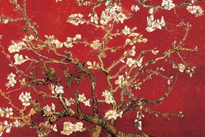 Almond Blossom Red Posters Vincent Van Gogh Allposters Com