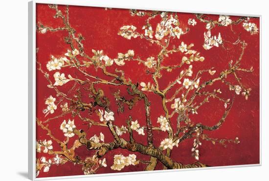 Almond Blossom - Red-Vincent van Gogh-Framed Poster