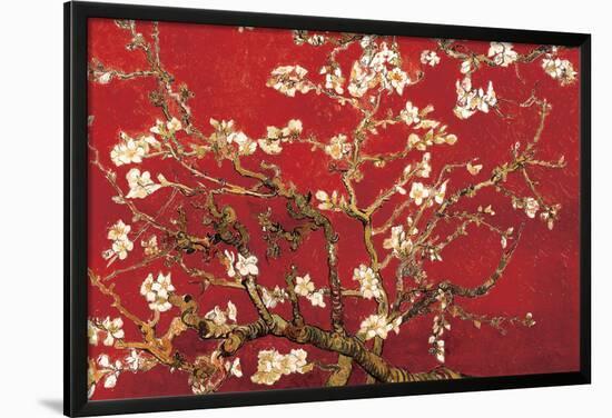 Almond Blossom - Red-Vincent van Gogh-Lamina Framed Poster