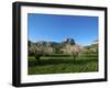 Almond Blossom, Serra De Tramuntana Auf Majorca, Balearics, Spain-Katja Kreder-Framed Photographic Print