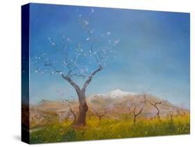 Almond Blossom with Snow Capped Sierra Nevada Mountain, 2016-Antonia Myatt-Stretched Canvas