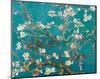 Almond Blossom-Vincent van Gogh-Mounted Mini Poster