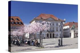 Almond Blossom-Markus-Stretched Canvas