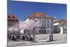 Almond Blossom-Markus-Mounted Photographic Print