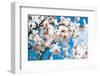 Almond Blossom-ArtesiaWells-Framed Photographic Print
