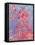 Almond Blossom-Mary Smith-Framed Stretched Canvas