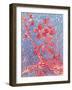 Almond Blossom-Mary Smith-Framed Giclee Print