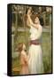 Almond Blossoms, C.1916-John William Waterhouse-Framed Stretched Canvas