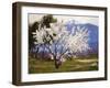 Almond Blossoms Near Banning-Anna Hills-Framed Art Print