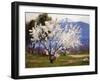 Almond Blossoms Near Banning-Anna Hills-Framed Art Print