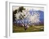 Almond Blossoms Near Banning-Anna Hills-Framed Art Print