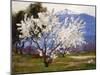 Almond Blossoms Near Banning-Anna Hills-Mounted Art Print