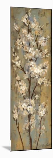 Almond Branch II-null-Mounted Premium Giclee Print