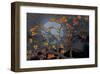 Almond Branches Autumn-null-Framed Art Print