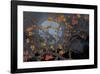 Almond Branches Autumn-null-Framed Art Print