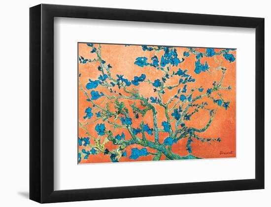 Almond Branches California-null-Framed Art Print