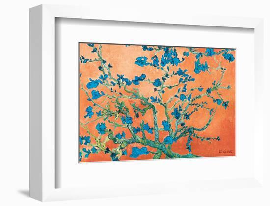 Almond Branches California-null-Framed Art Print