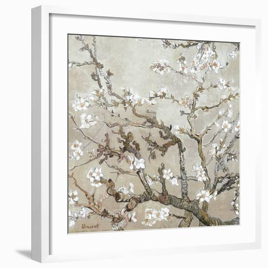 Almond Branches in Bloom, San Remy, c.1890 (tan)-Vincent van Gogh-Framed Art Print