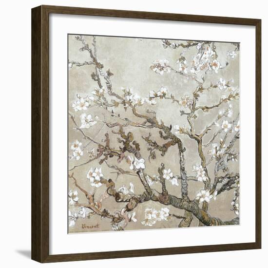 Almond Branches in Bloom, San Remy, c.1890 (tan)-Vincent van Gogh-Framed Art Print