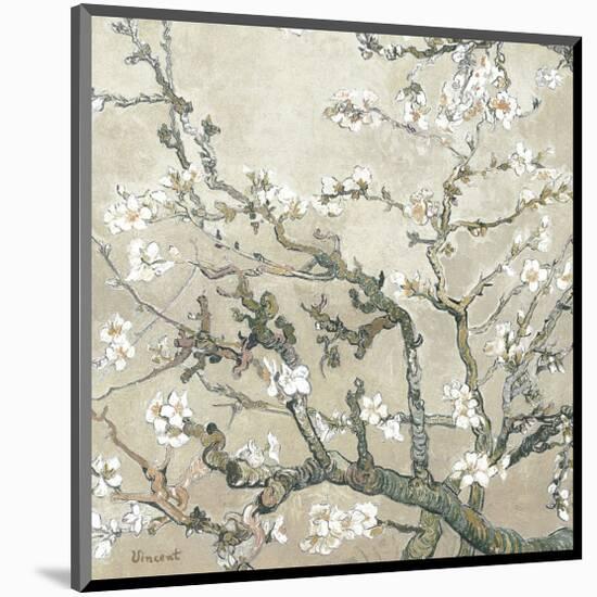 Almond Branches in Bloom, San Remy, c.1890 (tan)-Vincent van Gogh-Mounted Premium Giclee Print