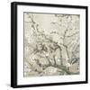 Almond Branches in Bloom, San Remy, c.1890 (tan)-Vincent van Gogh-Framed Premium Giclee Print