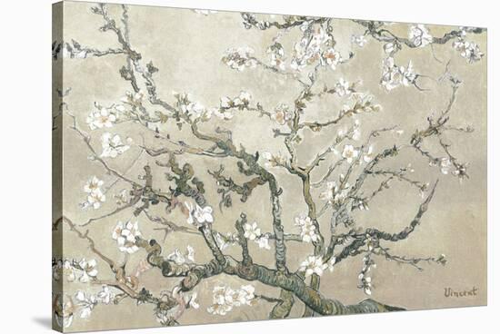Almond Branches in Bloom, San Remy, c.1890 (tan)-Vincent van Gogh-Stretched Canvas