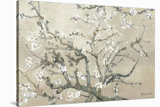 Almond Branches in Bloom, San Remy, c.1890 (tan)-Vincent van Gogh-Stretched Canvas