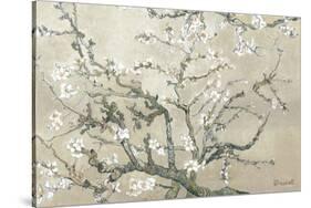 Almond Branches in Bloom, San Remy, c.1890 (tan)-Vincent van Gogh-Framed Stretched Canvas