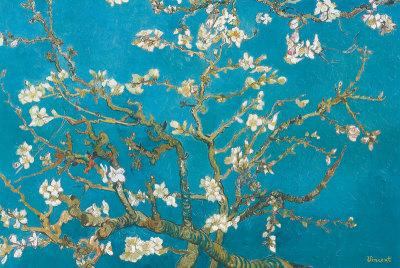 Almond Branches In Bloom San Remy C 10 Print Vincent Van Gogh Allposters Com