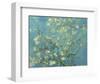 Almond Branches in Bloom, San Remy, c.1890-Vincent van Gogh-Framed Giclee Print