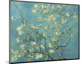 Almond Branches in Bloom, San Remy, c.1890-Vincent van Gogh-Mounted Giclee Print